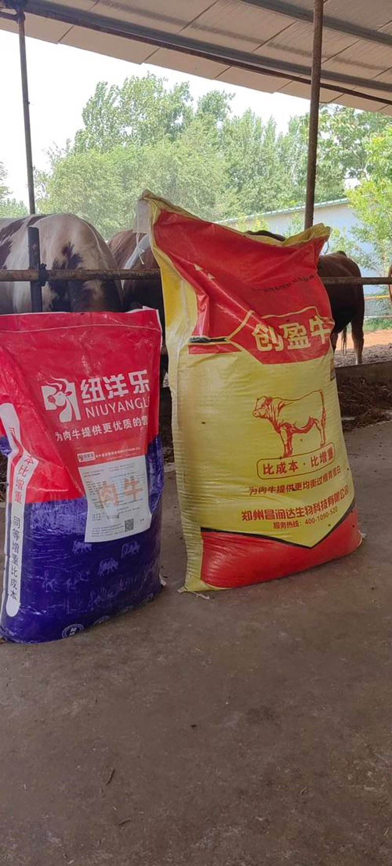 饲料行业的最新风向：预混料的迅猛发展