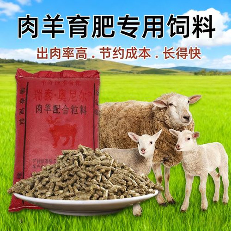 羊饲料